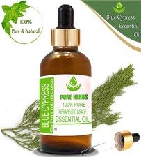 Pure Herbs Blue Cypress 100% Pure Callitris Intratropica Essential Oil