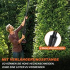 Bild 9 von 12