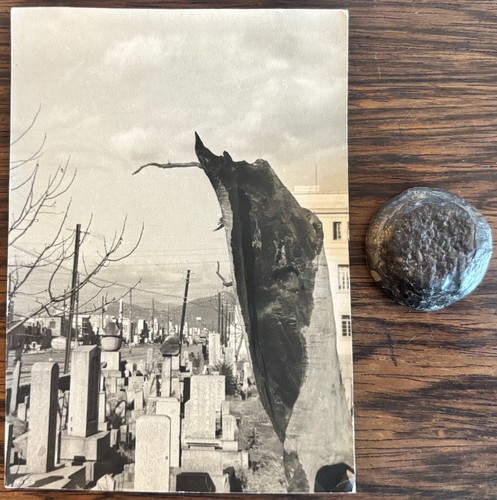 CHARRED TREE HIROSHIMA JAPAN CEMETERY ATOMIC BOMB BLAST PHOTOGRAPH & RELIC 1951