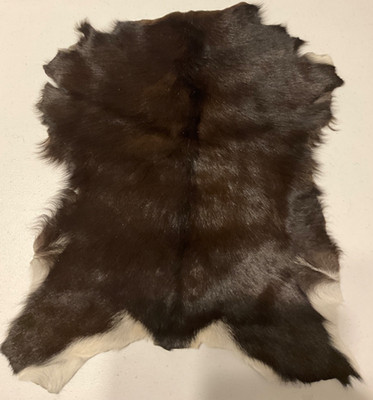 100% Natural  Leather Goatskin Fur Pelt Hide Rug 21 x16   Brown & White