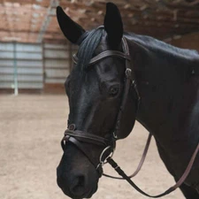 KL Select Black Oak Dogwood Bridle