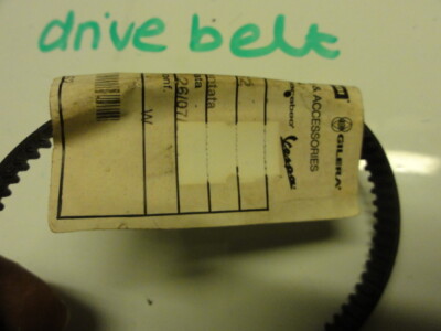 NOS GENUINE PIAGGIO 2 STROKE OIL PUMP BELT 286162 1 | eBay