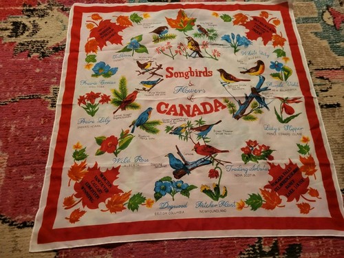 Vintage Songbirds & flowers of Canada ladies scart tourist souvenir birds vtg