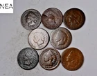(8) 1879-1887 Indian Head Cent Set/Lot ~ AG/Good ~ 8 Coin Date Run ~ ZIL90