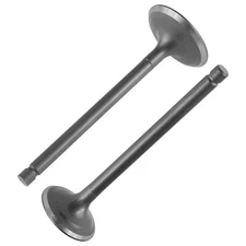 Intake & Exhaust Valve For Yamaha Raptor 250 YFM250R 2008 2009 2010-2013 NEW