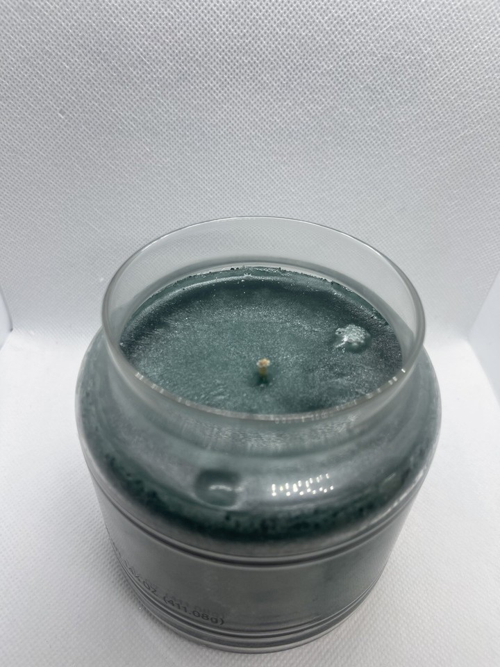 Yankee Candle EUCALYPTUS 14.5 oz. MEDIUM JAR HOLIDAY FAVORITE Single