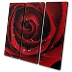 Red Roses Love Flowers Modern Gift Floral TREBLE CANVAS WALL ART Picture Print