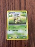 Pokemon Turtwig Black Star Promo DP01