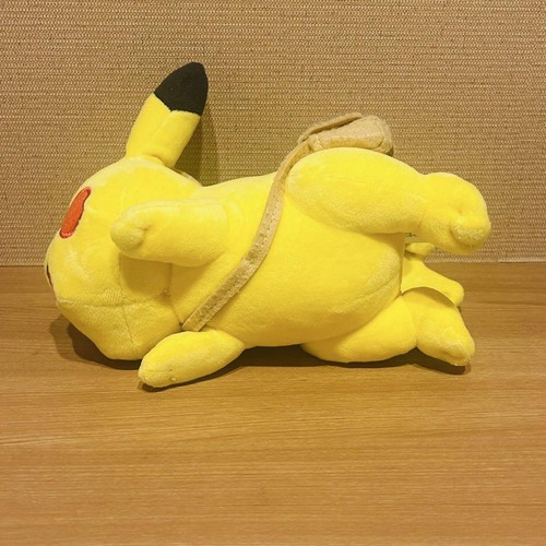 PokémonCenter Pokemon Center Pikachu Adventure Camp Running Plush toy Nagashima - Picture 6 of 7