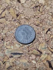 1904 Indian Head Cent Penny