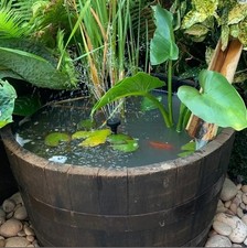 SMALL WATERTIGHT OAK HALF WHISKY BARREL - FOR WILDLIFE MINI POND  - 62CM X 35CM