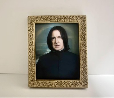 Harry Potter Portrait Magnet Collection Severus Snape