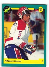 Shane Peacock 1991 Lethbridge Hurricanes #48