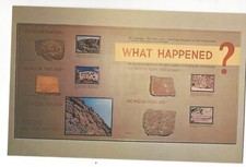 "WHAT HAPPENED?", Dinosaur National Monument Exhibit, Utah, c1950's Postcard