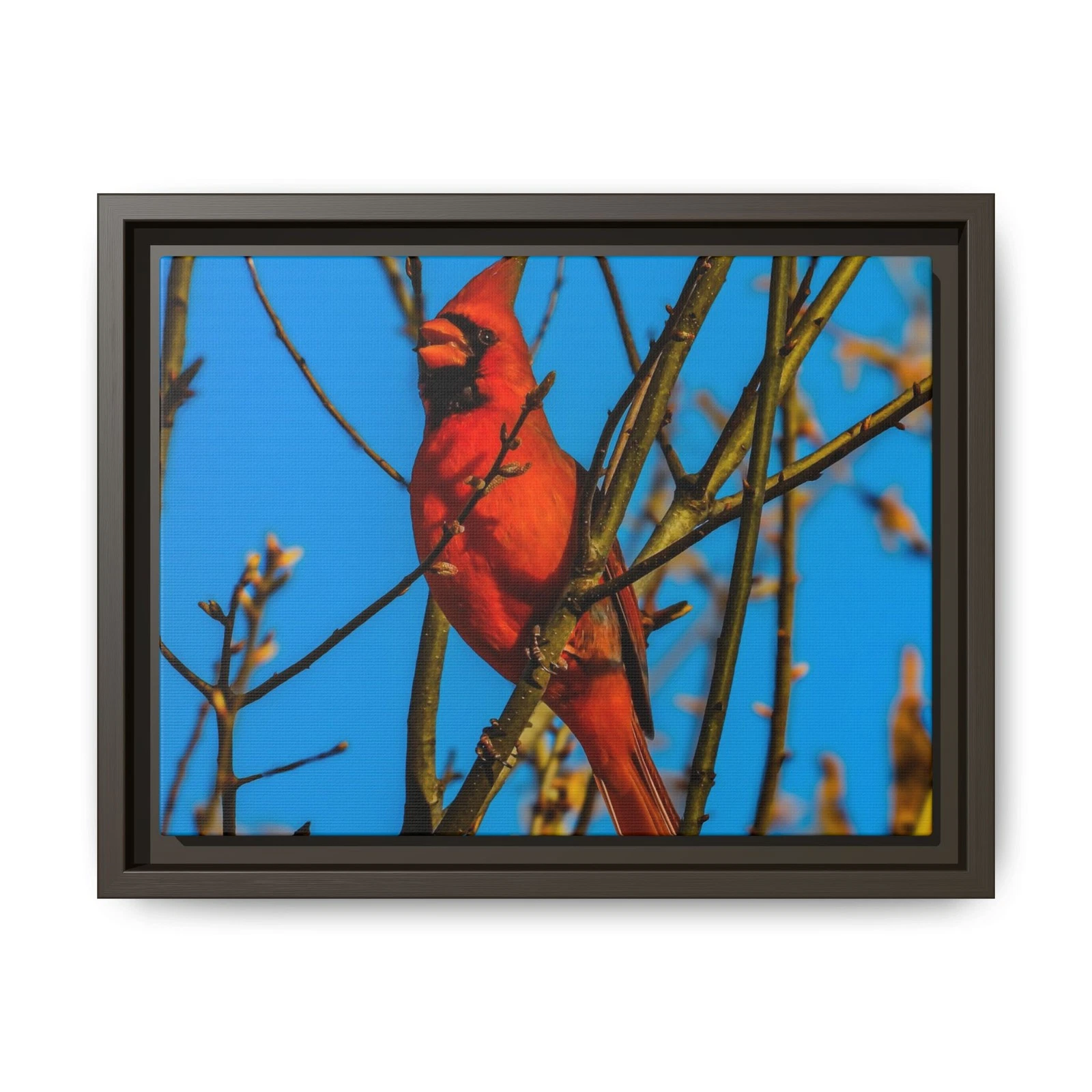 Red Cardinal Bird Canvas Framed | Matte Wall Art
Opens in a new window or tab