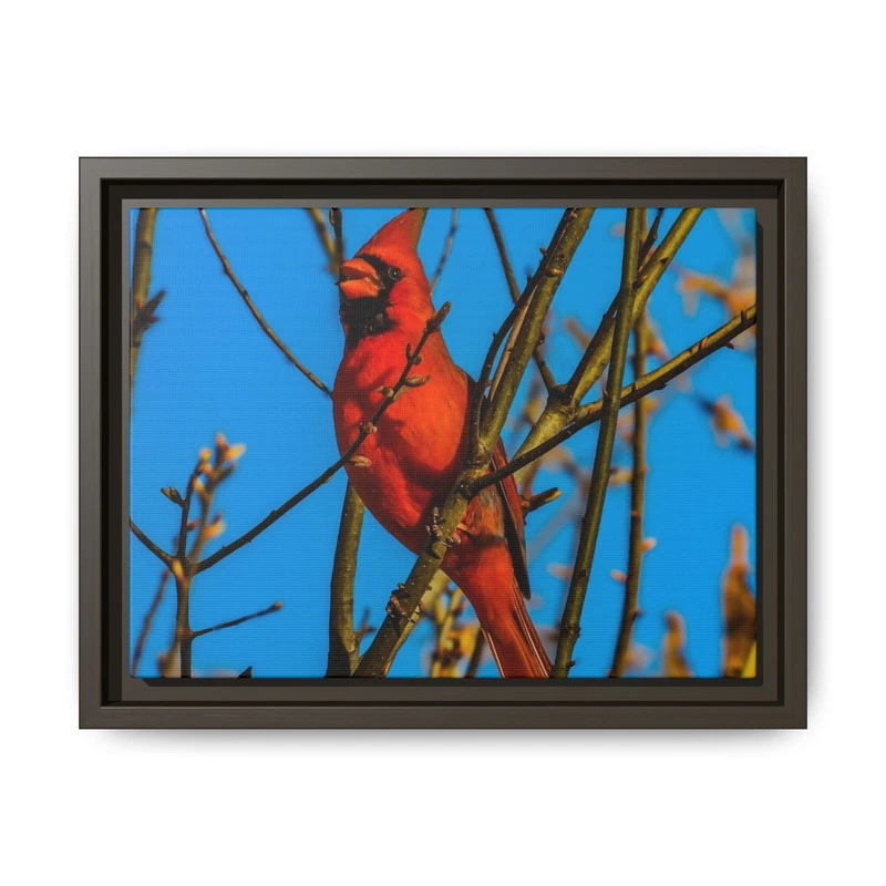 Red Cardinal Bird Framed Canvas Matte Wall Art