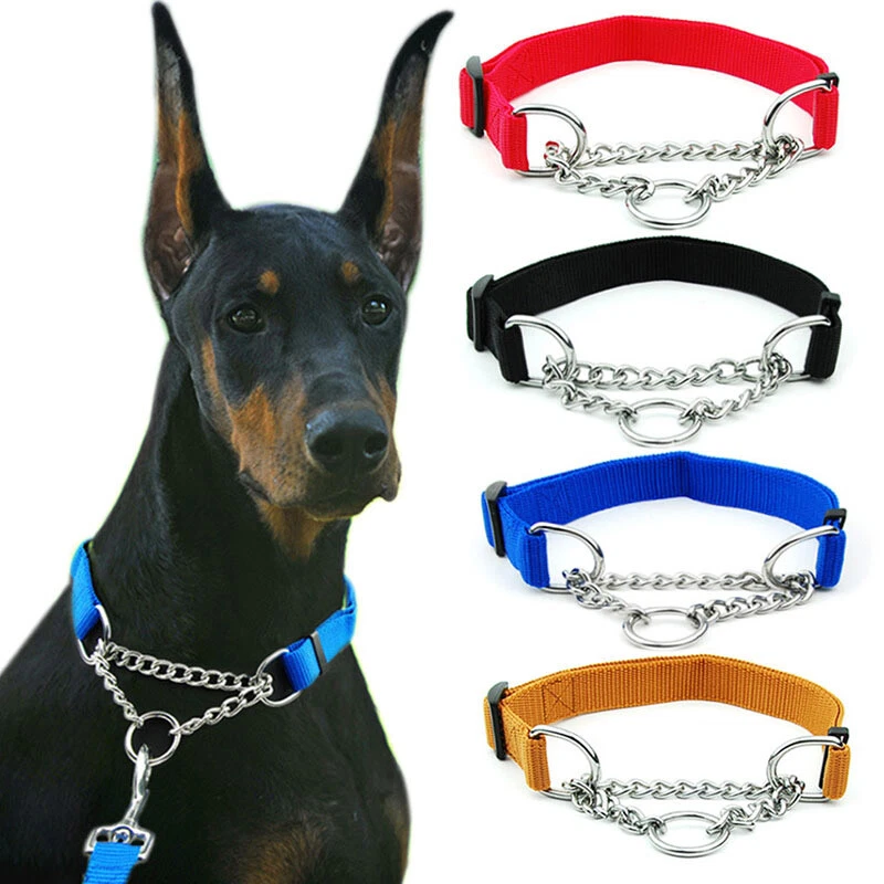 Half choker 2025 dog collar