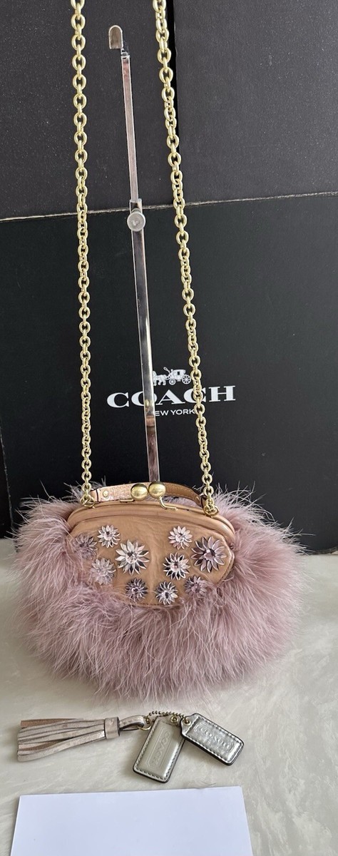 バッグ Coach Poppy Bird Feathers Kiss Lock Bag COACH LTD POPPY JEWELED FEATHER FRAME KISSLOCK SATCHEL PINK