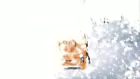 Video 1 of 1