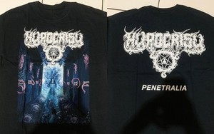Hypocrisy Penetralia | eBay