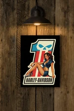 harley davidson sign chromaluxe panel 8x10  shadow mount system