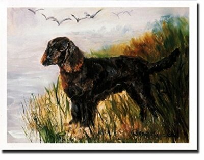 American Water Spaniel Profile Notecard Set 12 Blank Note Cards By Ruth Maystead