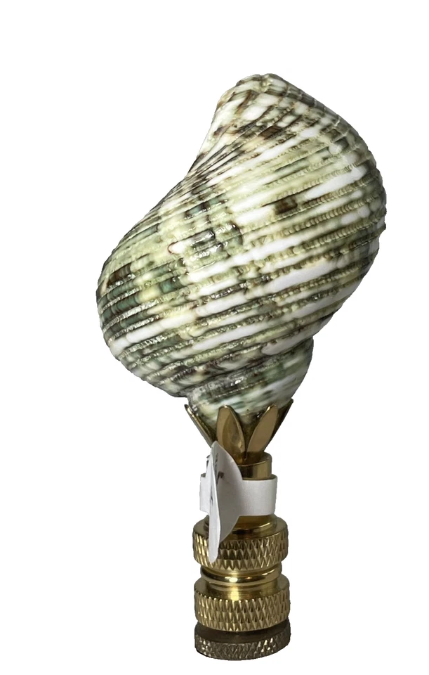 Acabado de pantalla de lámpara costera concha marina verde náutica Foto 4 de 4