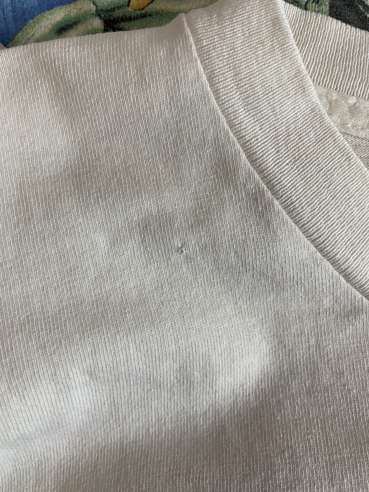 Picture 18 of 19