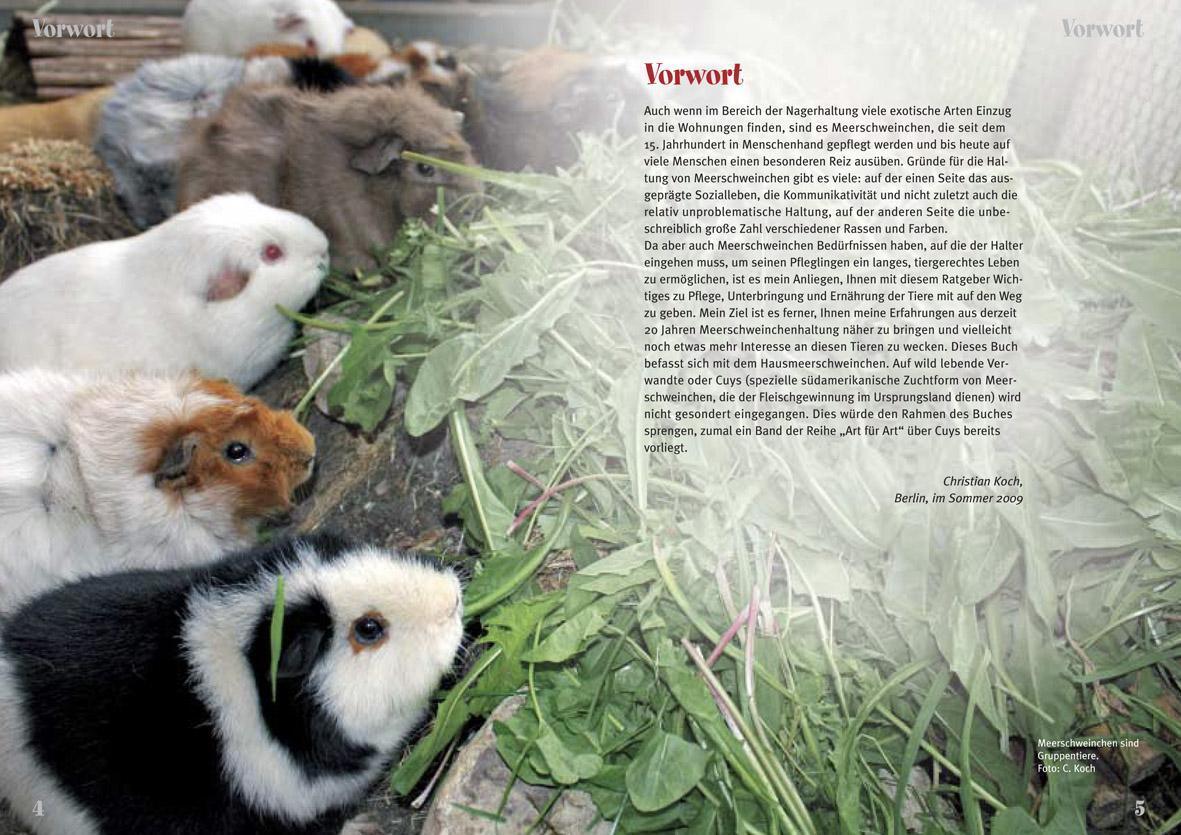 Thumbnail - Meerschweinchen Christian Koch 9783866591110