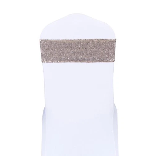 Champagne Brillo Lentejuelas Silla Bandas Fajas Corbatas Lazos Cinta Boda Aniversario Foto 3 de 4