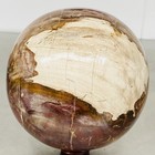 Natural Petrified Wood Polished Stone Quartz Crystal Sphere Ball Healing 3600G — photo 9