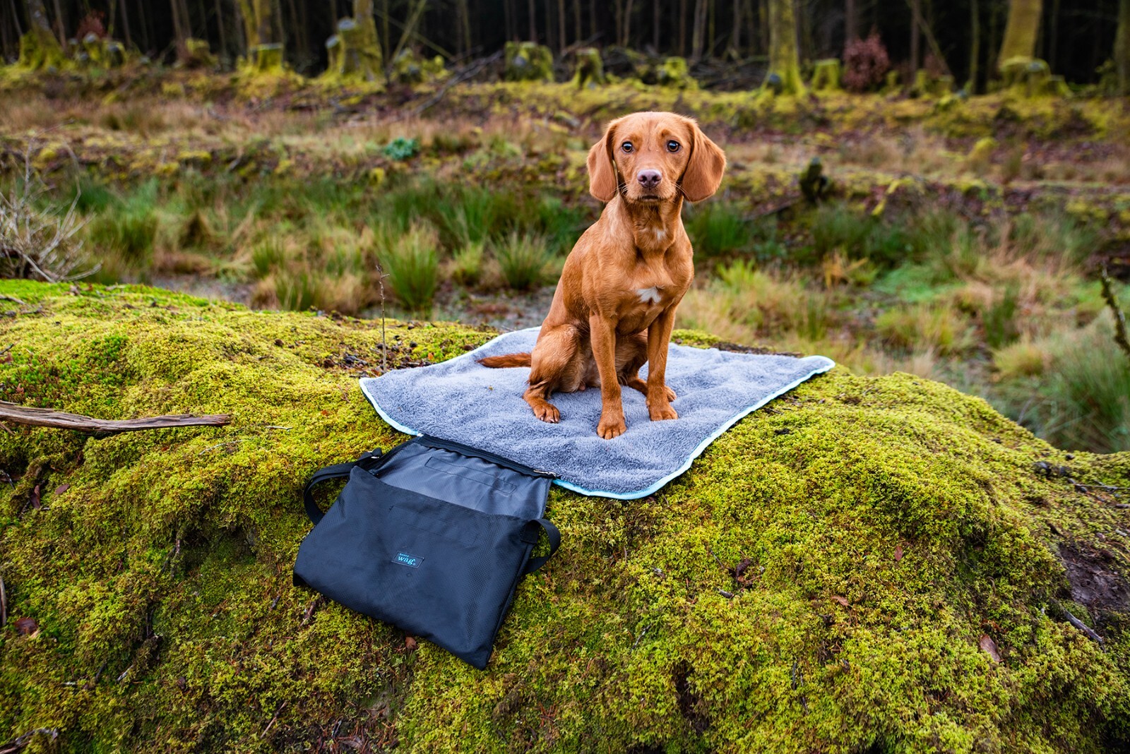 Henry Wag Easy-Roll Travel Bed