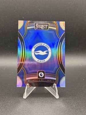 2024-25 Panini Select Brighton & Hove Albion Team Badge SSP