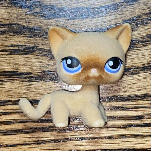 RARE LPS LITTLEST PET SHOP #318 KITTY CAT BEIGE BROWN FUZZY SHORTHAIR BLUE EYES