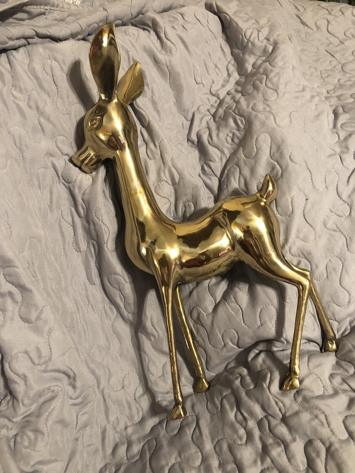 Bambi Doe Facebook Mystery - p6f4l38