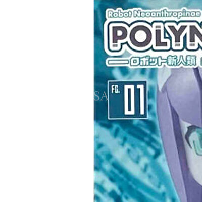 【未開封】ポリニアン FMMクローバ（F/G） Daibadi Robot Polynian FMM Clover FG Japan IMPORT S0904 for