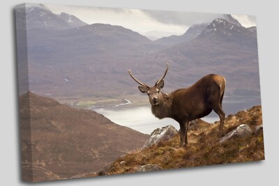 Red deer stag Scotland Monarch of Glen Canvas Wall Art Picture Print