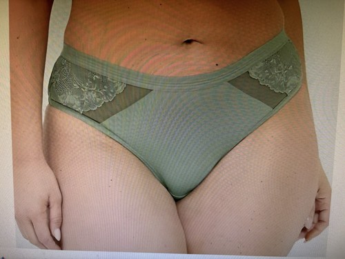 Lot/2 Lane Bryant/Cacique 18/20 No-Show Cheeky Panty & Lace Back Cheeky - Picture 6 of 7