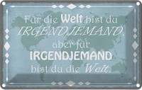 Blechschild 20X30 Cm FüR Welt Bist Du Irgendjemand Dekoration Spruch Zitat Deko