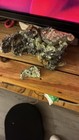 Green & White Crystal Cluster Mineral Specimen with Radial Rosettes — photo 9