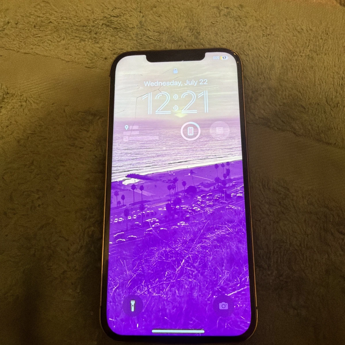 25+ Apple iPhone 12 Pro Max 256GB for sale | Updated Oct 2026
