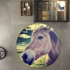 3D Grassland Pasture O1592 Animal Non Slip Rug Mat Elegant Photo Carpet Fay