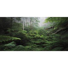 AWERT Foggy Forest Terrarium Background Green Tree Reptile 36x18in/90x45cm
