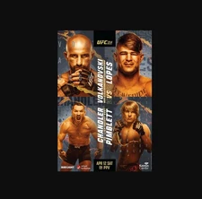 UFC 314 Volkanovski Vs. Lopes Fight Poster Reprint