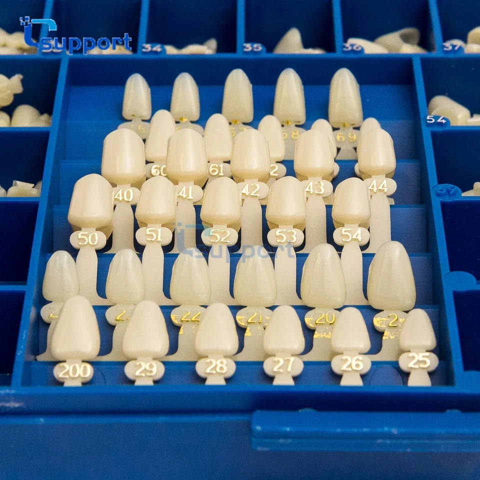 NUEVO KIT DE CAJA CORONAS DENTALES TEMPORALES DE POLICARBONATO 360 PIEZAS CON GUÍAS DE MOLDE DE CORONA Foto 2 de 4