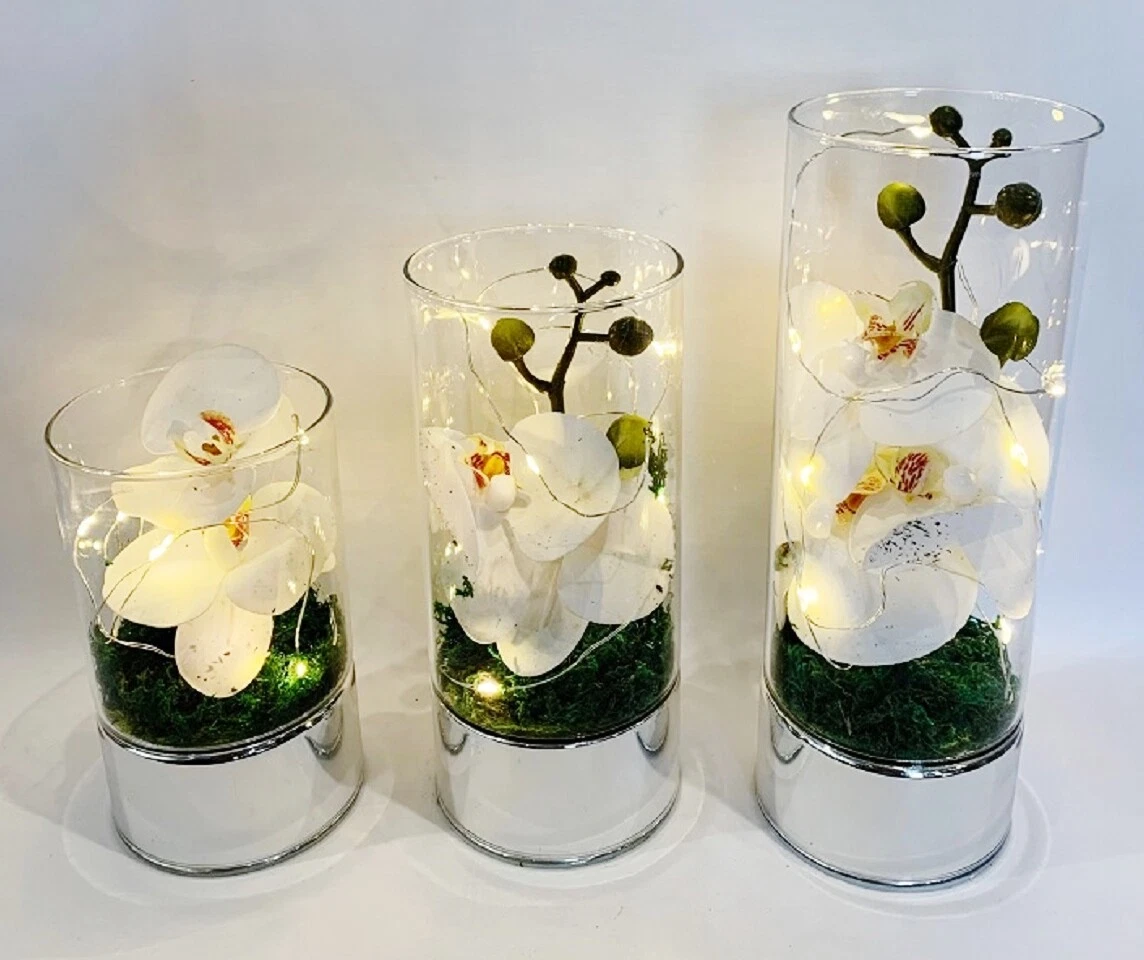 Lights 2024 and flowers
