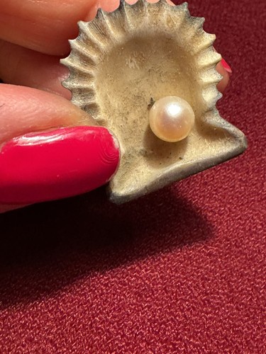 Vintage Aaron Faber Sea Shell Pearl Cufflinks 1940's Good Condition - Picture 6 of 8