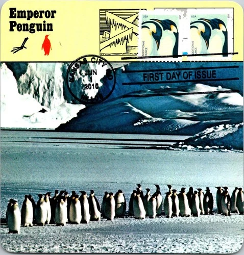 Dr Jim Stamps Maximum Card Penguin Additional Ounce 2 Pairs Fdc