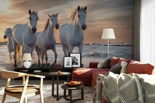 3D White Horse Wallpaper Wall Mural Removable Self-adhesive Sticker 101