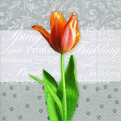 *20 Servietten*Serviettentechnik*Au printemps*Frühling*Spring*Tulpe*Blume*